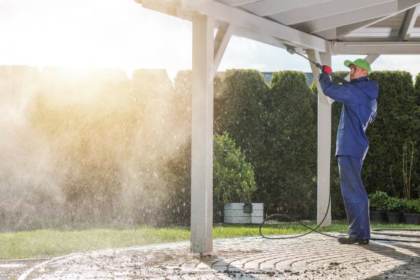Best Sidewalk and Walkway Cleaning  in Sycamore, GA
